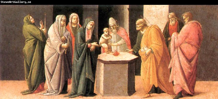 BARTOLOMEO DI GIOVANNI Predella: Presentation at the Temple  dd